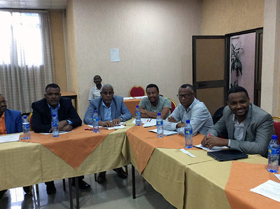 ammatillisten oppilaitosten johtajia TECIP-hankkeen koulutuksessa Etiopiassa