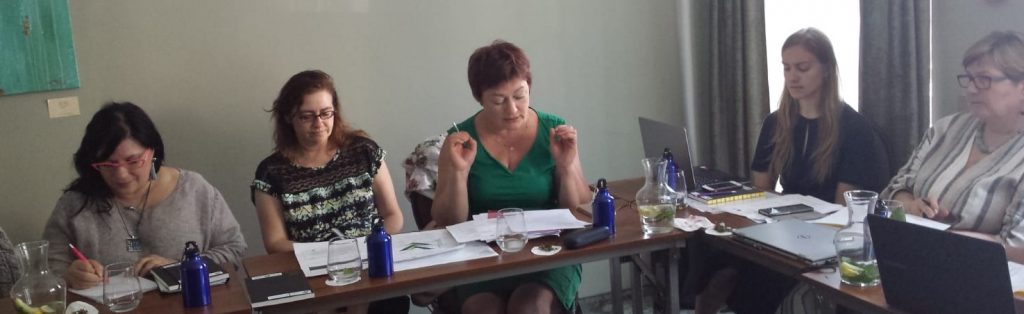 projektin toimijoita Liettuan kokouksessa