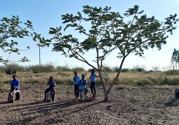 Etäältä kuvattuja pieniä koululaisia seisomassa ja istumassa maahan pystytettyjen autonrenkaiden päällä sekä pieniä savannialueen puita. 